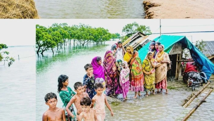 সুন্দরবনের উপকূলে জলবায়ু পরিবর্তনের নির্মম অভিঘাত : নারী-শিশুর জীবন কি ক্রমেই অনিরাপদ হয়ে উঠছে?